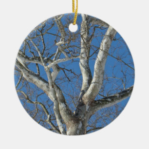 Sycamore Tree Against Winter Sky Items Ceramic Ornament