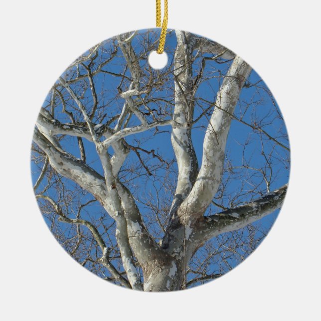 Sycamore Tree Against Winter Sky Items Ceramic Ornament (Front)