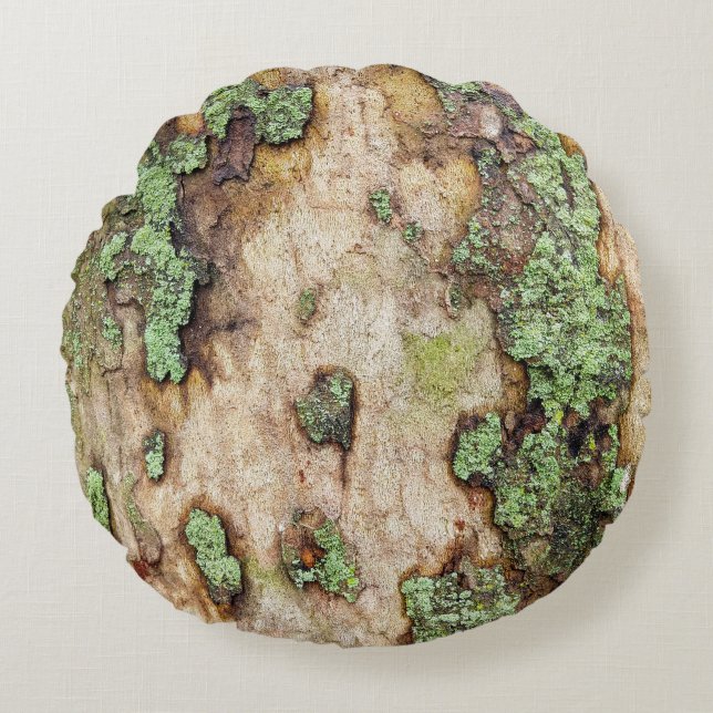 Sycamore Tree Bark Moss Lichen Round Pillow (Front)