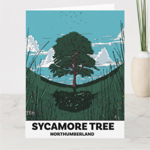 Sycamore Tree Gap Card