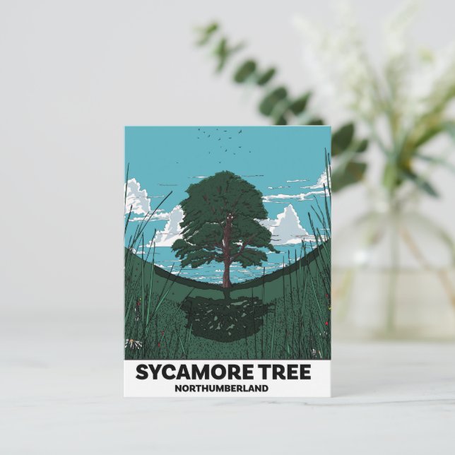 Sycamore Tree Gap Holiday Postcard (Standing Front)