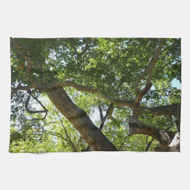 Sycamore Tree Green Nature Kitchen Towel (Horizontal)