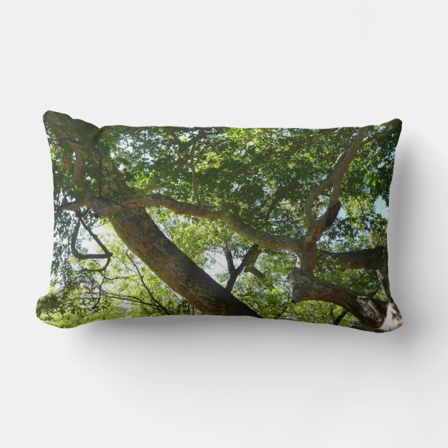 Sycamore Tree Green Nature Lumbar Pillow (Front)