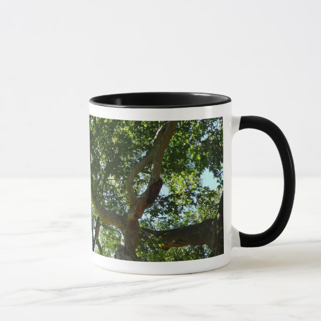 Sycamore Tree Green Nature Mug (Right)