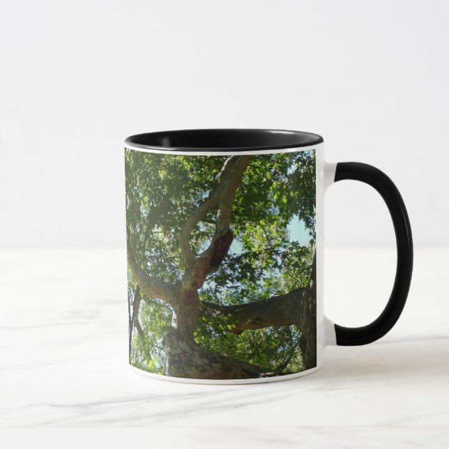 Sycamore Tree Green Nature Mug (Right)
