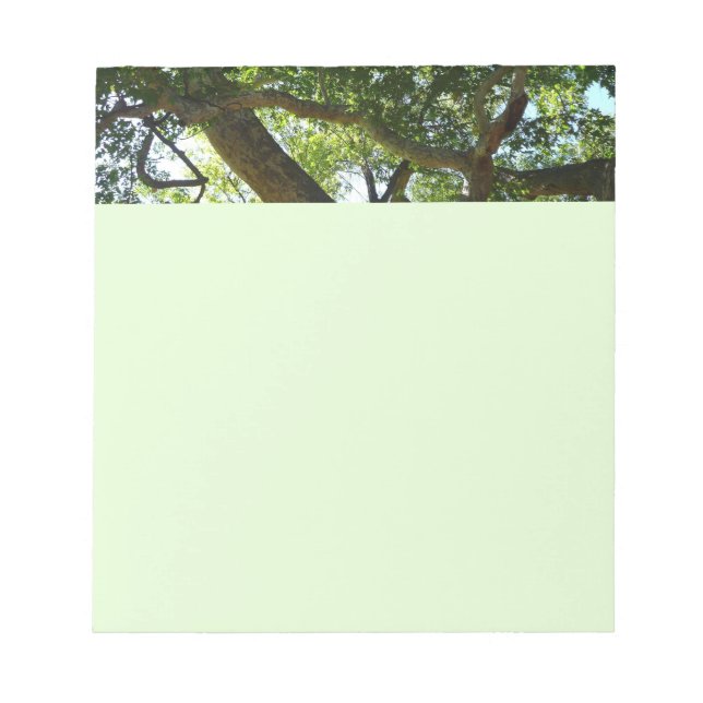 Sycamore Tree Green Nature Notepad (Front)