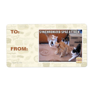 Sychronized Spaz Attack