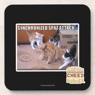 Sychronized Spaz Attack Coaster