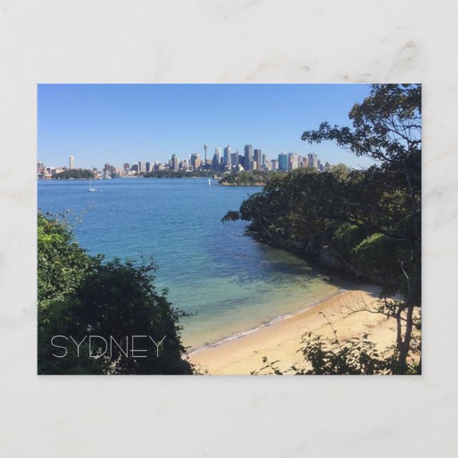 sydney beach skyline postcard (Front)