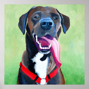 Sydney Dog Art Grande impression