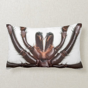 Sydney Funnel-Web Spider Lumbar Pillow