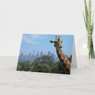 Sydney Giraffe Australia Blank Greeting Card