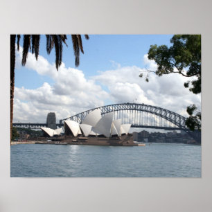 sydney harbour trees poster