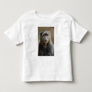 Sykes or Blue Monkey, Cercopithecus mitis, Toddler T-shirt