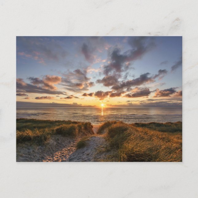 Sylt Island | Germany Postcard (Front)