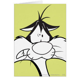 SYLVESTER™ Face