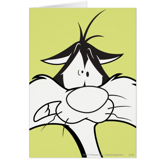 SYLVESTER™ Face (Front)