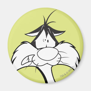 SYLVESTER™ Face Magnet