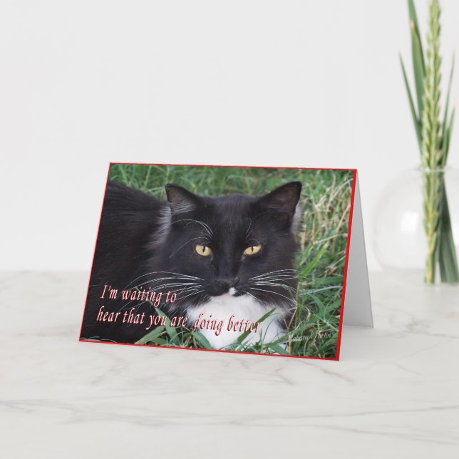 Sylvester-Get Well-customize Card (Front)