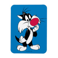 Sylvester Jr. | Classic Pose