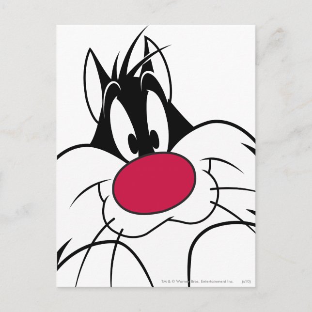 SYLVESTER™ Red Nose Face Postcard (Front)