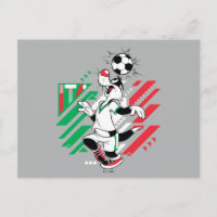 SYLVESTER™ Team Italy Soccer Graphic