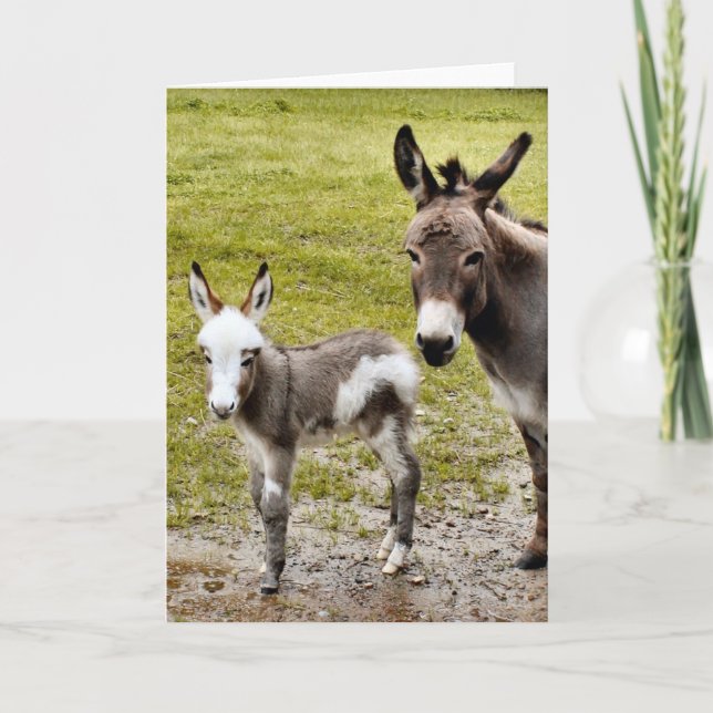 Sylvia & Mr. T Card (Front)