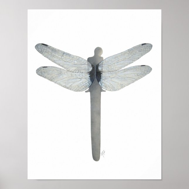Symbiosis Dragonfly Poster (Front)