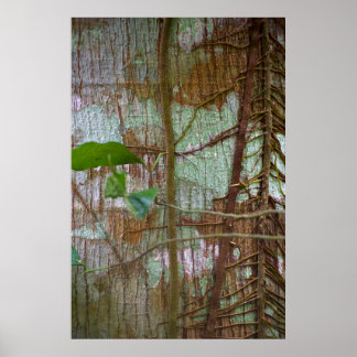 Symbiosis Poster