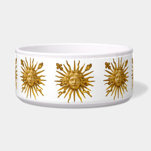 Symbol of Louis XIV the Sun King