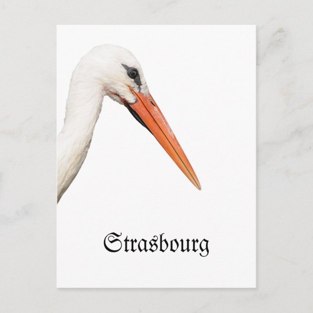 Symbol Of Strasbourg, Alsace Postcard (Front)