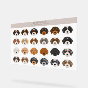 SYMBOLE ACrylique Bernedoodle