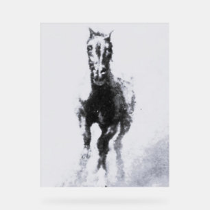Symbole acrylique style et design de cheval sauvag