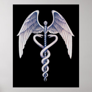Symbole Médicale Caduceus Black Business Poster