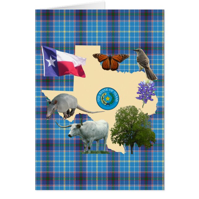 Symboles d'état du Texas (Devant)