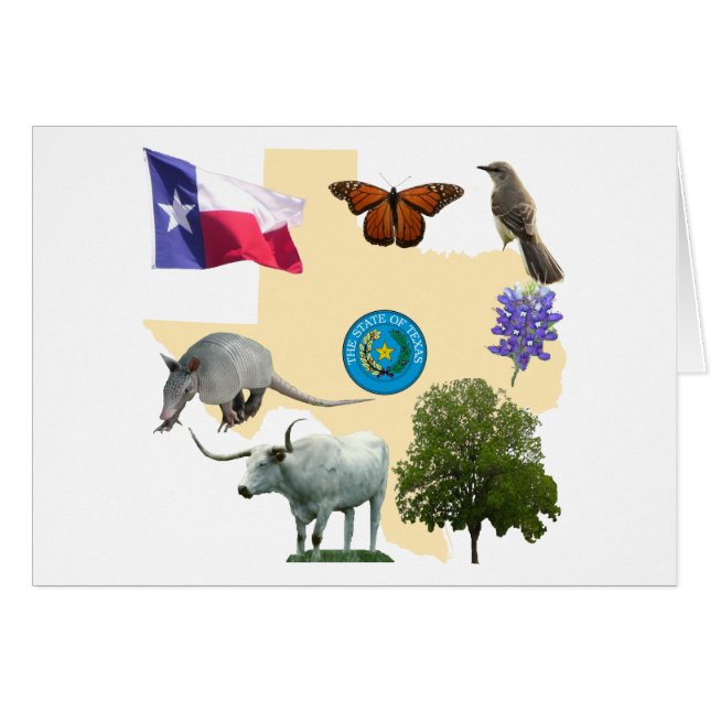 Symboles d'état du Texas (Devant horizontal)