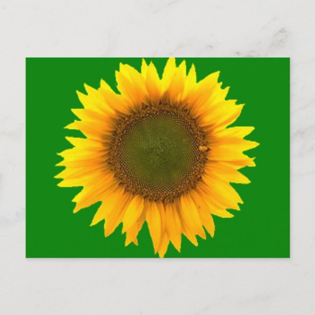 Symbolisme de la carte postale légère (Devant)