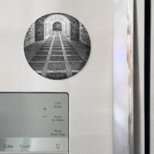 Symmetry in black and white magnet