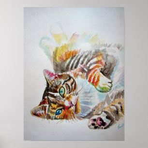 Sympa Jouer Dormir Tabby Chat Chat Poster