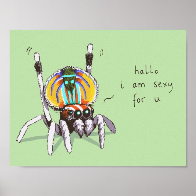 Sympa Peacock Araignée Colorée Dessin Poster (Devant)