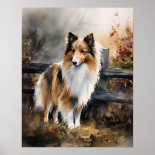 Sympa Shetland Sheepdog Chien Art Imprimer Poster