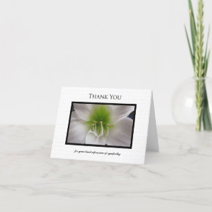 Sympathie blanche Merci Carte de note - Amaryllis