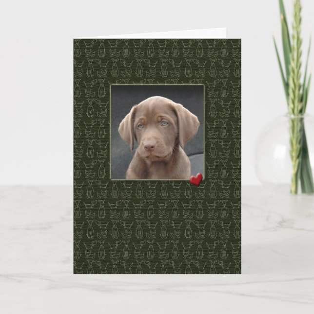 Sympathie de l'animal de compagnie perte des carte (Devant)