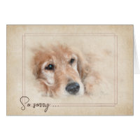 Sympathie de perte de animal de compagnie Golden R