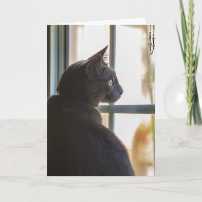 Sympathie pour la perte de blanc de carte de voeux (Devant)