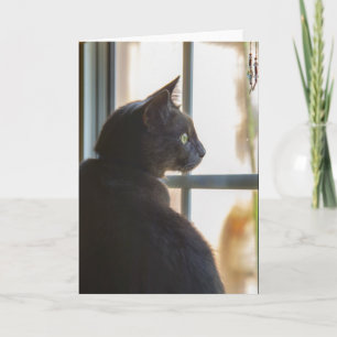 Sympathie pour la perte de blanc de carte de voeux