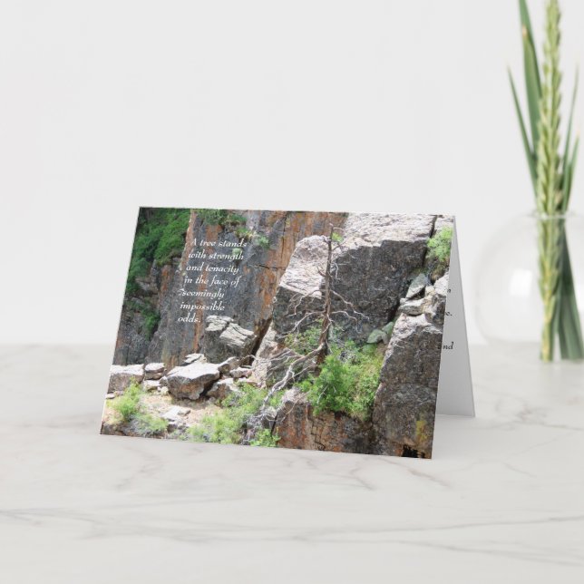 Sympathy: Black Canyon Tree Card (Front)