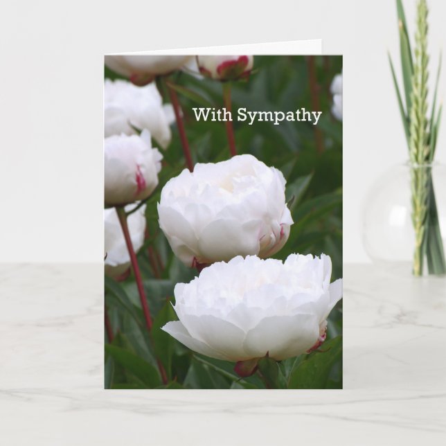 Sympathy Card (Front)