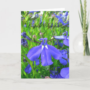 Sympathy Card