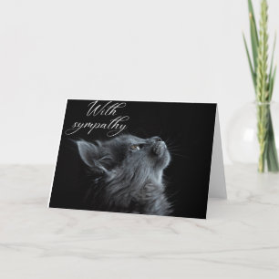 Sympathy Card Cat